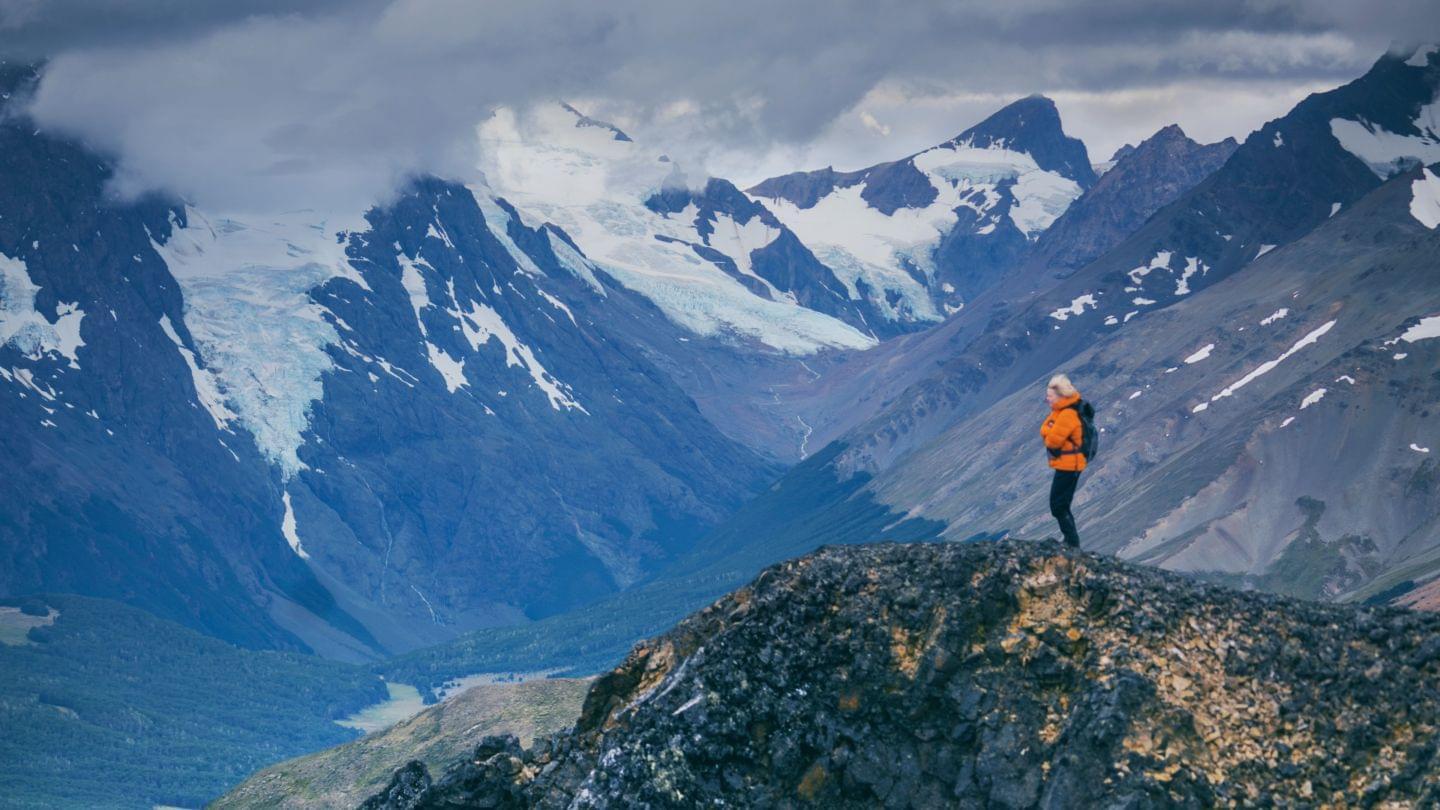 Documentário Wild Life